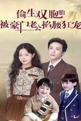 偷生双胞胎,被豪门老公掐腰狂宠 偷生双胞胎,被豪门老公掐腰狂宠
