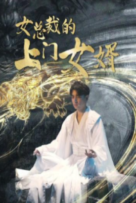 女总裁的上门女婿 女总裁的上门女婿