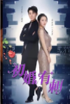 初婚有刺 初婚有刺