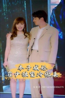 奉子成婚,霍少独宠冷傲妻 奉子成婚,霍少独宠冷傲妻