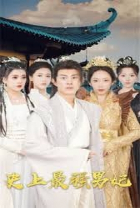 史上最强男妃 史上最强男妃