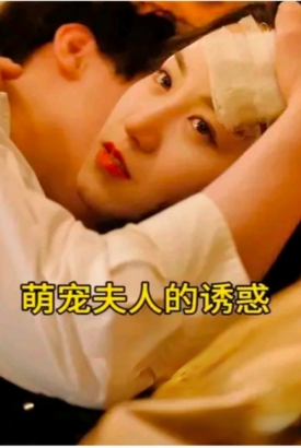 萌宠夫人的诱惑 萌宠夫人的诱惑