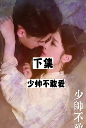 少帅不敢爱 少帅不敢爱