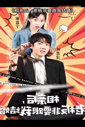 相亲后,老板非要跟我结婚 相亲后,老板非要跟我结婚