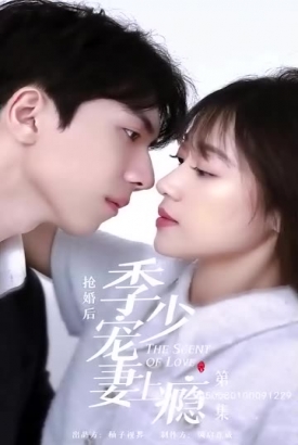 抢婚后,季少宠妻上瘾 抢婚后,季少宠妻上瘾