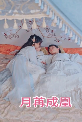 月苒成凰 月苒成凰