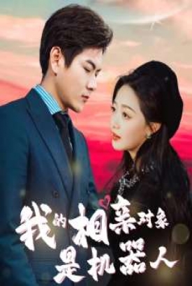 我的相亲对象是机器人 我的相亲对象是机器人