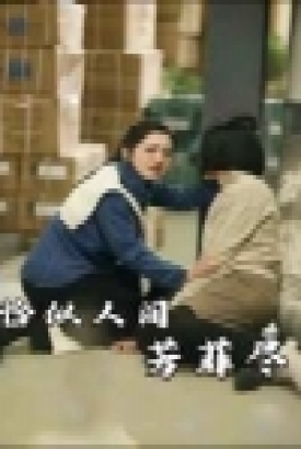 恰似人间芳菲尽 恰似人间芳菲尽