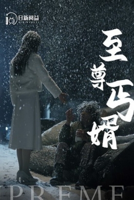 至尊丐婿 至尊丐婿