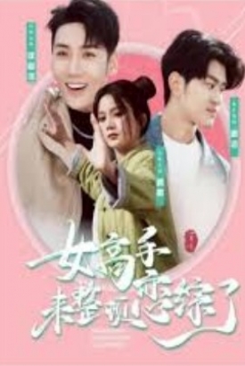 女高手来整顿恋综了 女高手来整顿恋综了