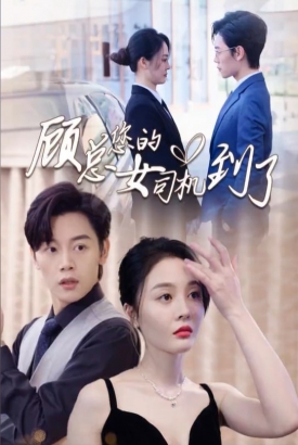 顾总您的女司机到了 顾总您的女司机到了