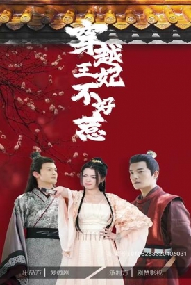 穿越王妃不好惹 穿越王妃不好惹