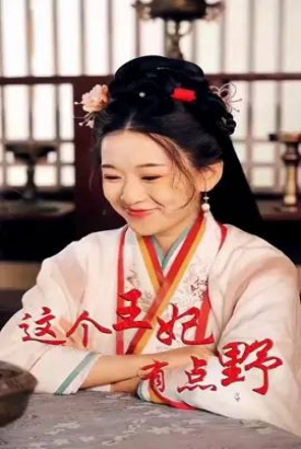 这个王妃有点野 这个王妃有点野