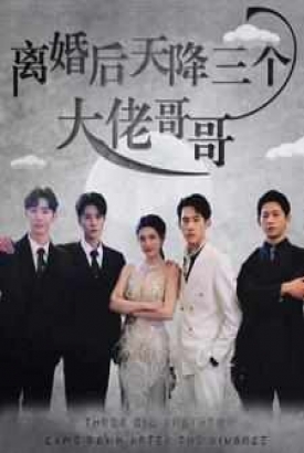 离婚后天降三个大佬哥哥 离婚后天降三个大佬哥哥