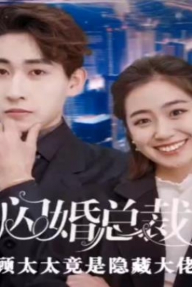 闪婚总裁,顾太太竟是隐藏大佬 闪婚总裁,顾太太竟是隐藏大佬