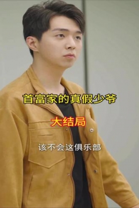 首富家的真假少爷 首富家的真假少爷