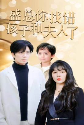 盛总你找错孩子和夫人了 盛总你找错孩子和夫人了
