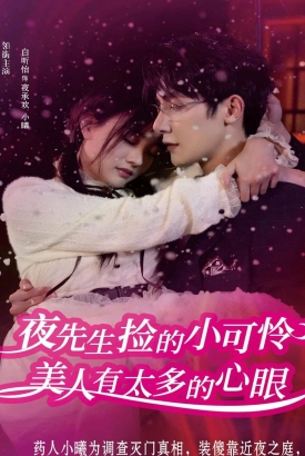 夜先生捡的小可怜美人有太多的心眼 夜先生捡的小可怜美人有太多的心眼
