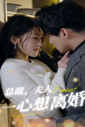 总裁,夫人一心想离婚 总裁,夫人一心想离婚