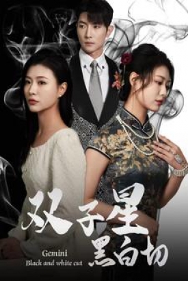 双子星黑白切 双子星黑白切