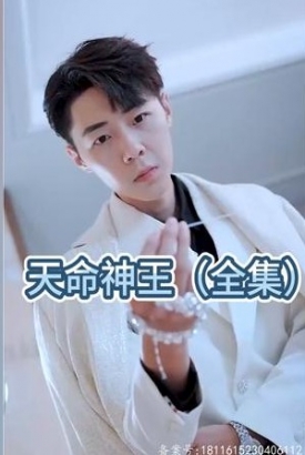 天命神王 天命神王