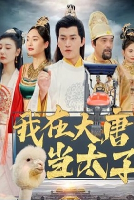我在大唐当太子 我在大唐当太子