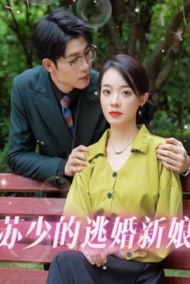 苏少的逃婚新娘【1-31合集】 苏少的逃婚新娘【1-31合集】