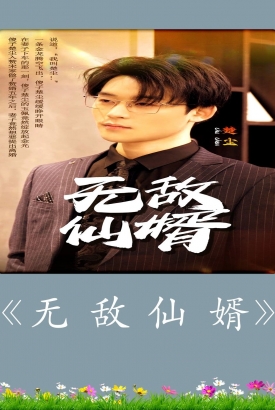 无敌仙婿 无敌仙婿
