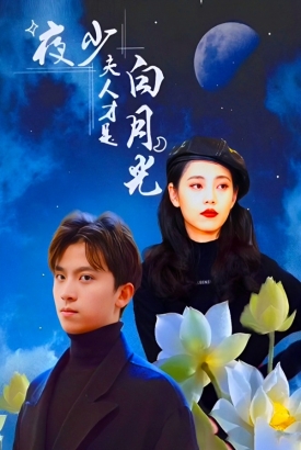 夜少夫人才是白月光 夜少夫人才是白月光