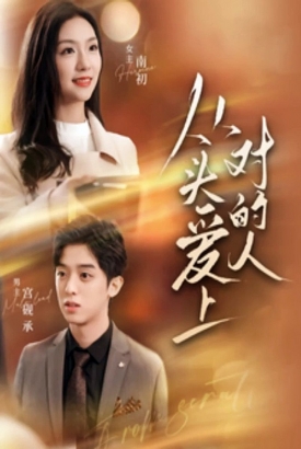 从头爱上对的人 从头爱上对的人