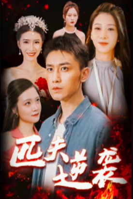 匹夫逆袭 匹夫逆袭