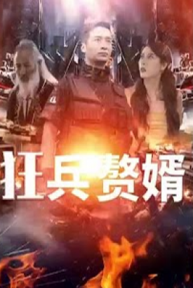 狂兵赘婿 狂兵赘婿