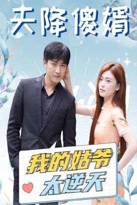天降傻婿:我的姑爷太逆天 天降傻婿:我的姑爷太逆天
