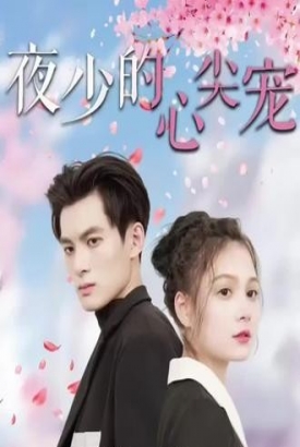 夜少的心尖宠 夜少的心尖宠