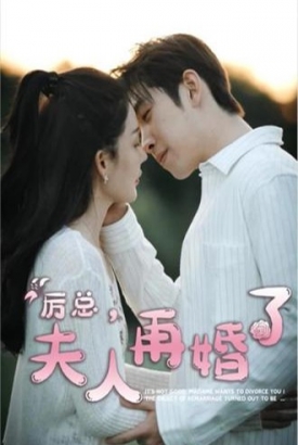 厉总,夫人再婚了【1-100合集】 厉总,夫人再婚了【1-100合集】