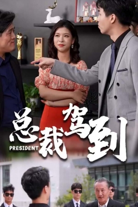 总裁驾到【1-100合集】 总裁驾到【1-100合集】