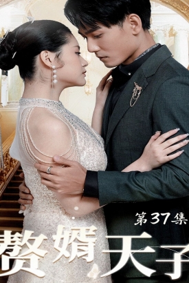 赘婿天子 赘婿天子