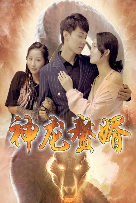 神龙赘婿 神龙赘婿