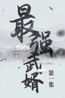 最强武婿 最强武婿