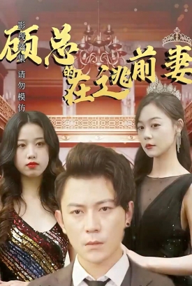 顾总的在逃前妻 顾总的在逃前妻