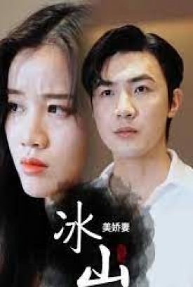 冰山美娇妻 冰山美娇妻