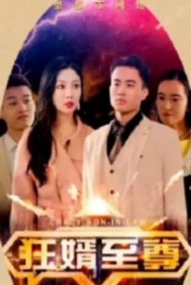 狂婿至尊【1-100合集】 狂婿至尊【1-100合集】