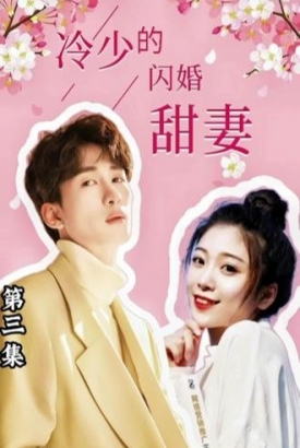 冷少的闪婚甜妻【1-100合集】 冷少的闪婚甜妻【1-100合集】