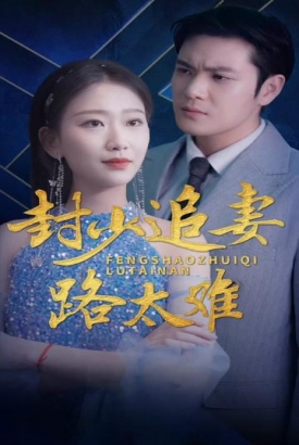 封少追妻路太难【1-100合集】 封少追妻路太难【1-100合集】