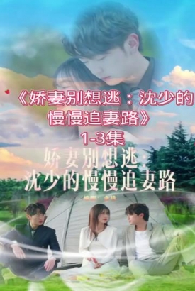娇妻别想逃【1-62合集】 娇妻别想逃【1-62合集】