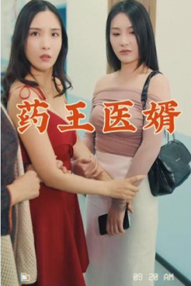 药王医婿 药王医婿