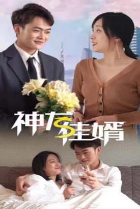 神龙佳婿【1-131合集】