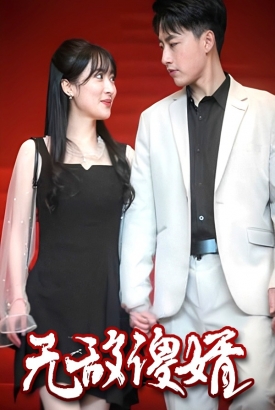 无敌傻婿 无敌傻婿