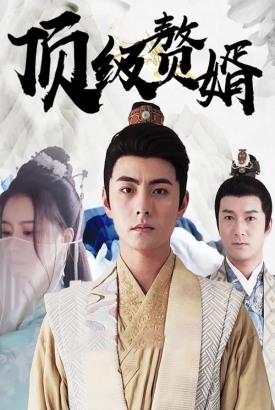 顶级赘婿【1-100合集】 顶级赘婿【1-100合集】