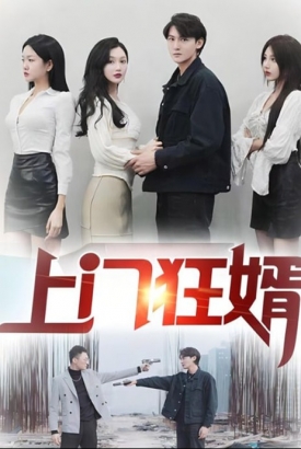上门狂婿 上门狂婿